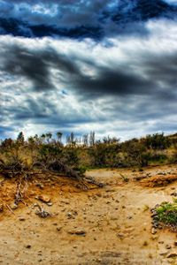 Preview wallpaper stones, sand, plants, roots, sky, colors