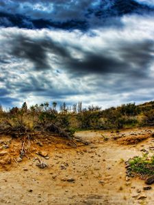 Preview wallpaper stones, sand, plants, roots, sky, colors