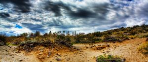 Preview wallpaper stones, sand, plants, roots, sky, colors