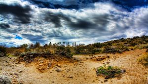 Preview wallpaper stones, sand, plants, roots, sky, colors