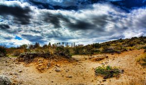 Preview wallpaper stones, sand, plants, roots, sky, colors