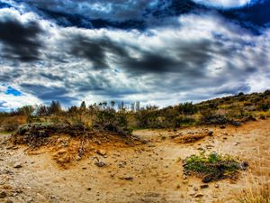 Preview wallpaper stones, sand, plants, roots, sky, colors