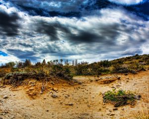 Preview wallpaper stones, sand, plants, roots, sky, colors