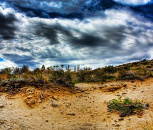 Preview wallpaper stones, sand, plants, roots, sky, colors