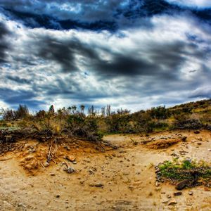 Preview wallpaper stones, sand, plants, roots, sky, colors