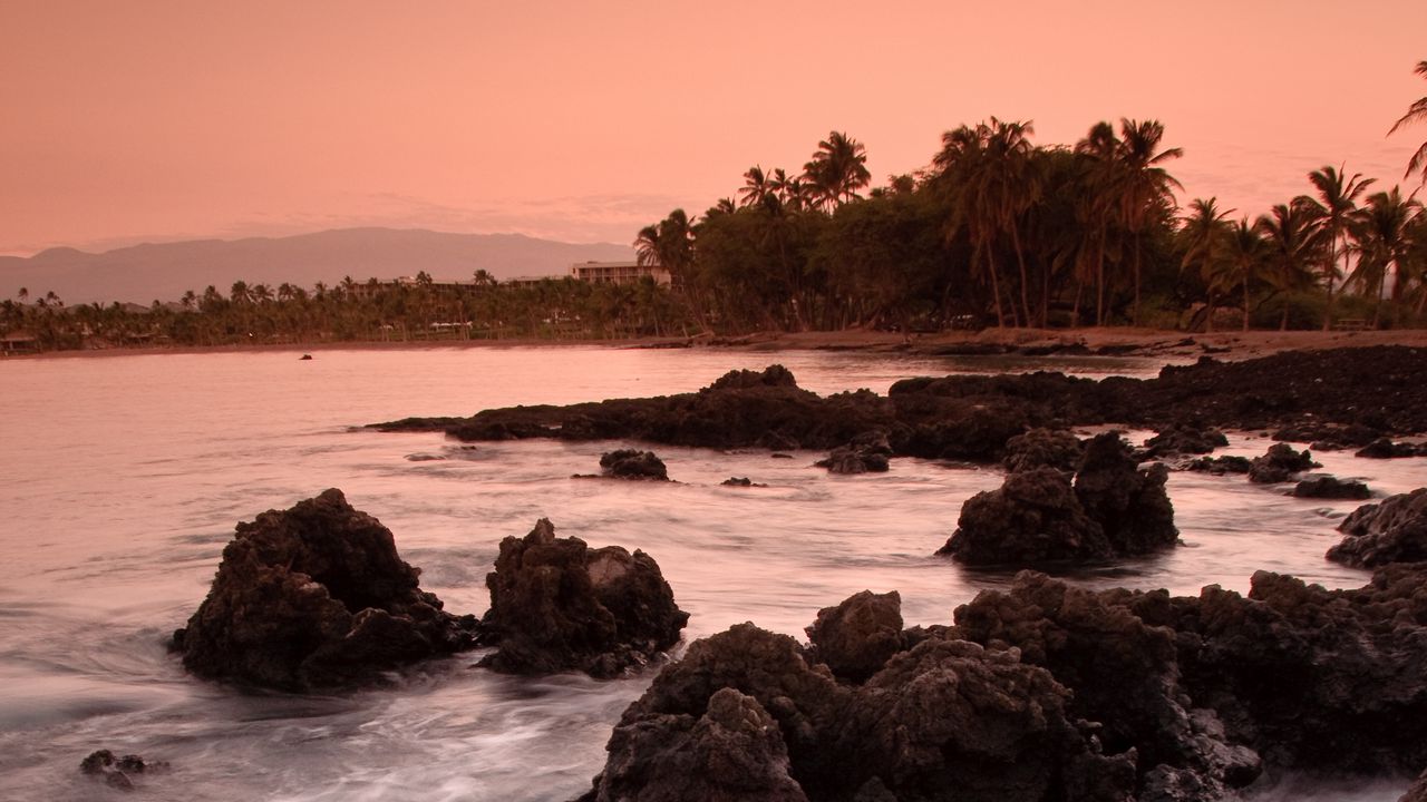 Wallpaper stones, sea, palm trees, coast