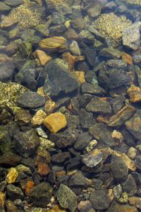 Preview wallpaper stones, sharp, water, transparent