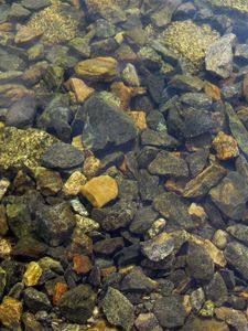 Preview wallpaper stones, sharp, water, transparent