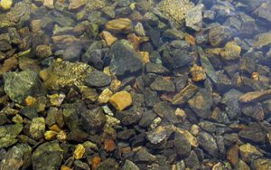 Preview wallpaper stones, sharp, water, transparent