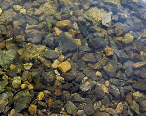 Preview wallpaper stones, sharp, water, transparent