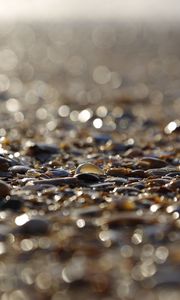 Preview wallpaper stones, shells, glare