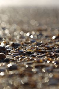 Preview wallpaper stones, shells, glare