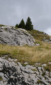 Preview wallpaper stones, slopes, grass, trees, nature
