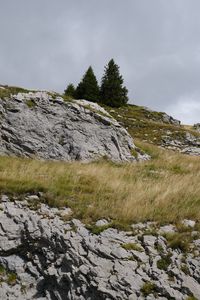 Preview wallpaper stones, slopes, grass, trees, nature