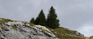 Preview wallpaper stones, slopes, grass, trees, nature