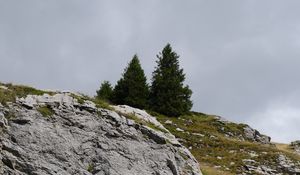 Preview wallpaper stones, slopes, grass, trees, nature