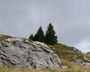 Preview wallpaper stones, slopes, grass, trees, nature
