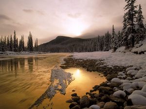 Preview wallpaper stones, snow, river, current, canada, mountain, trees