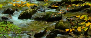 Preview wallpaper stones, stream, branches
