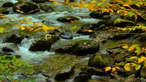 Preview wallpaper stones, stream, branches