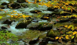 Preview wallpaper stones, stream, branches