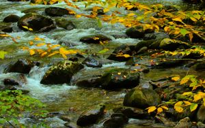 Preview wallpaper stones, stream, branches