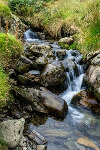 Preview wallpaper stones, stream, grass, nature