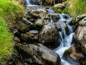 Preview wallpaper stones, stream, grass, nature