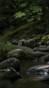 Preview wallpaper stones, stream, moss, leaves, nature