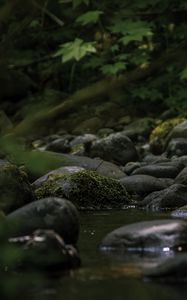Preview wallpaper stones, stream, moss, leaves, nature