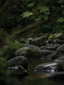 Preview wallpaper stones, stream, moss, leaves, nature