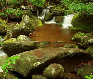 Preview wallpaper stones, stream, moss, greens