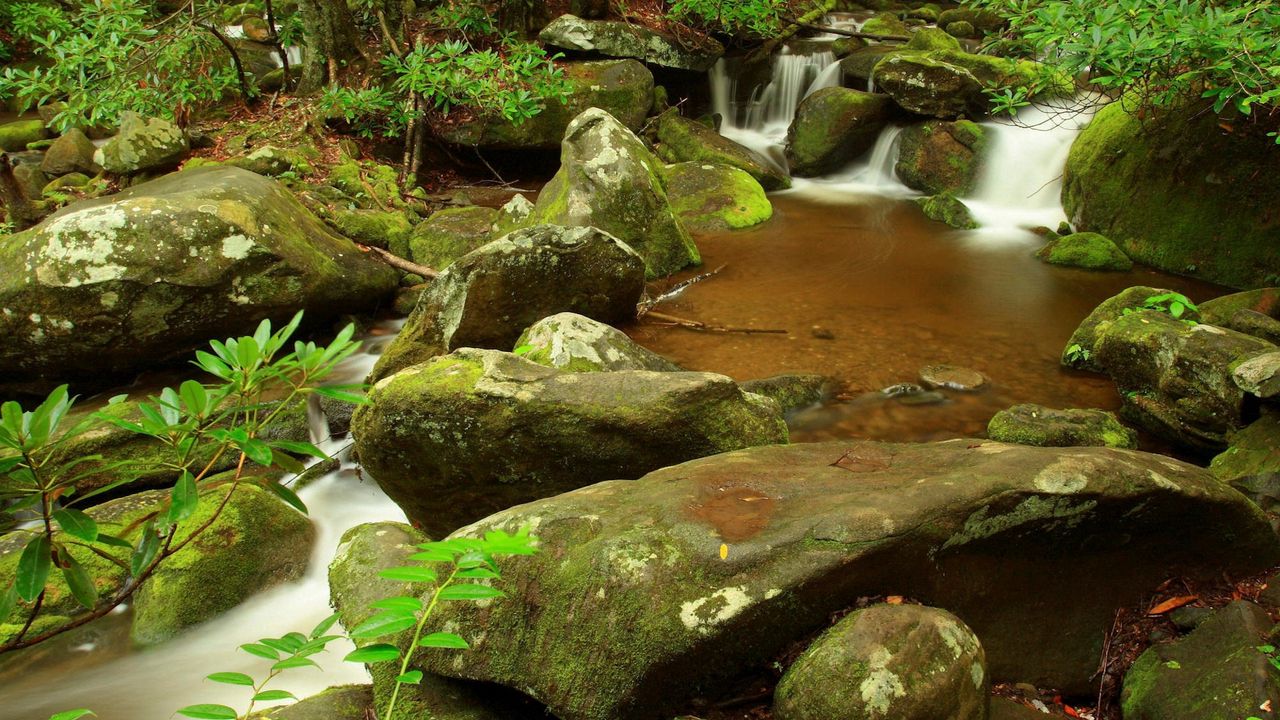 Wallpaper stones, stream, moss, murmur, branch, wood, source