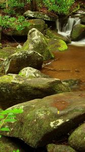 Preview wallpaper stones, stream, moss, murmur, branch, wood, source