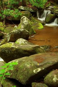 Preview wallpaper stones, stream, moss, murmur, branch, wood, source