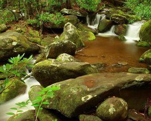 Preview wallpaper stones, stream, moss, murmur, branch, wood, source