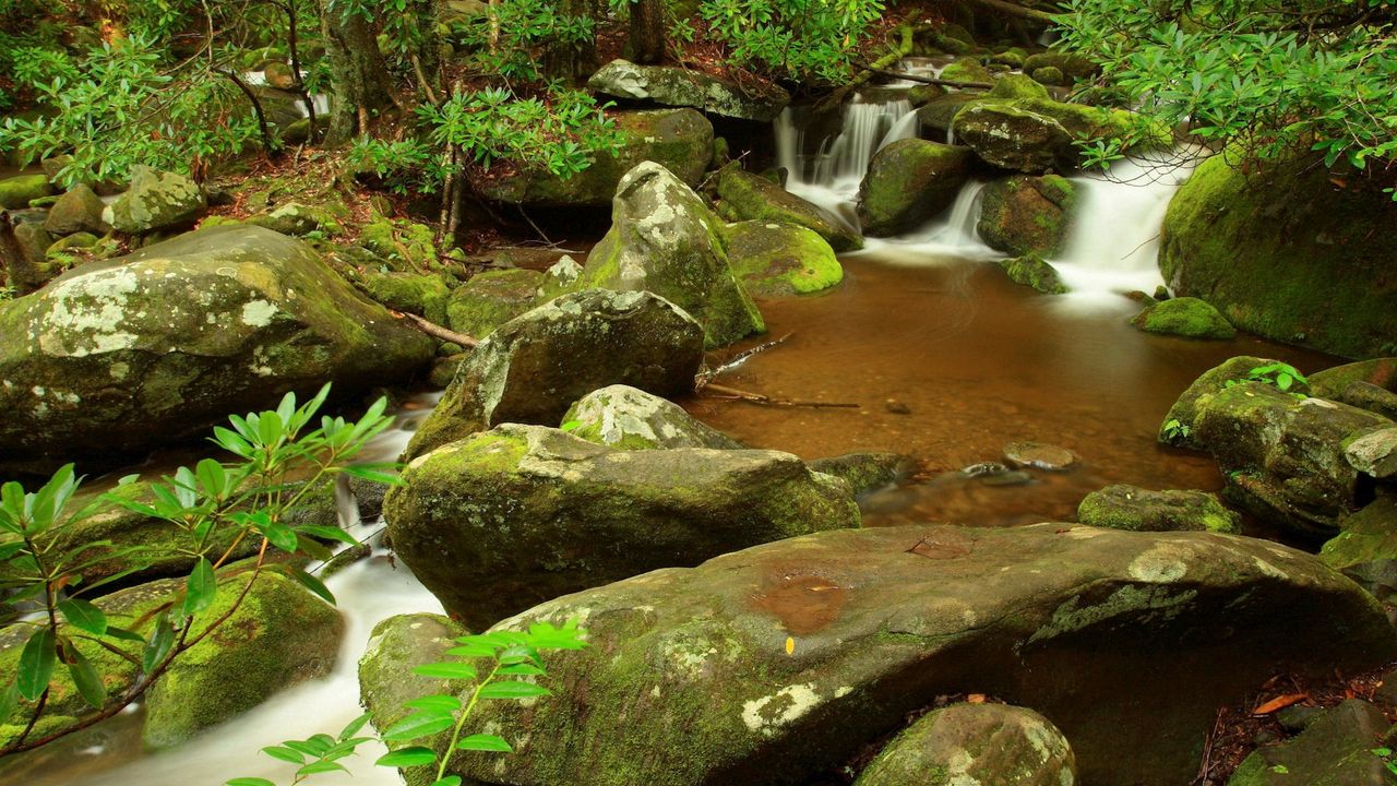 Wallpaper stones, stream, moss, greens hd, picture, image