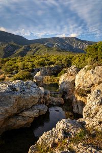 Preview wallpaper stones, stream, mountains, bushes, nature