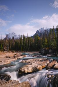 Preview wallpaper stones, stream, trees, mountains