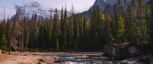 Preview wallpaper stones, stream, trees, mountains