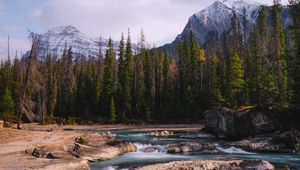 Preview wallpaper stones, stream, trees, mountains