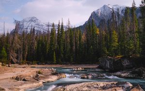 Preview wallpaper stones, stream, trees, mountains