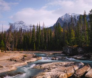 Preview wallpaper stones, stream, trees, mountains