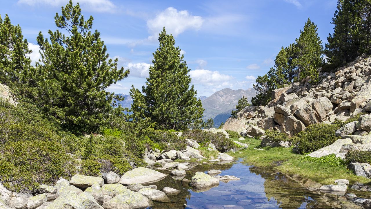 Wallpaper stones, stream, trees