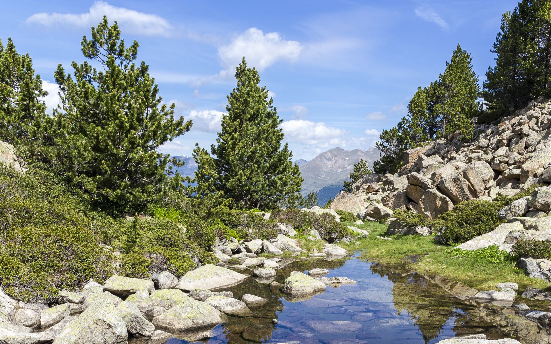 Download wallpaper 1920x1200 stones, stream, trees widescreen 1610 hd
