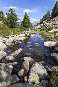 Preview wallpaper stones, stream, trees