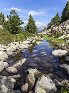 Preview wallpaper stones, stream, trees