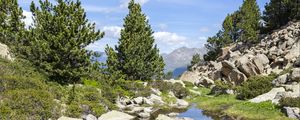 Preview wallpaper stones, stream, trees