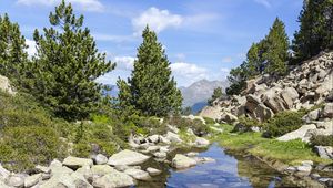 Preview wallpaper stones, stream, trees