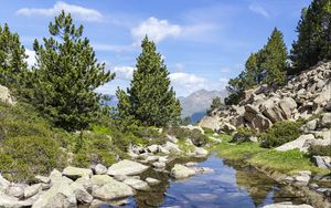 Preview wallpaper stones, stream, trees